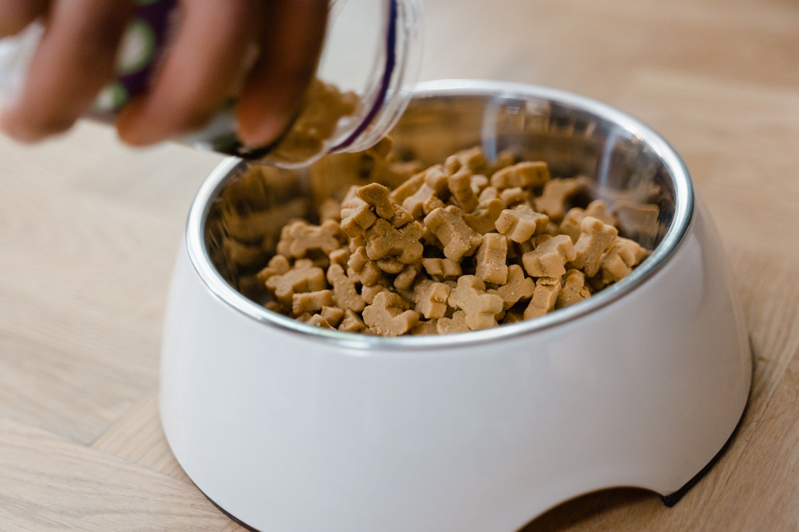 A hand pouring dry dog food into a bowl