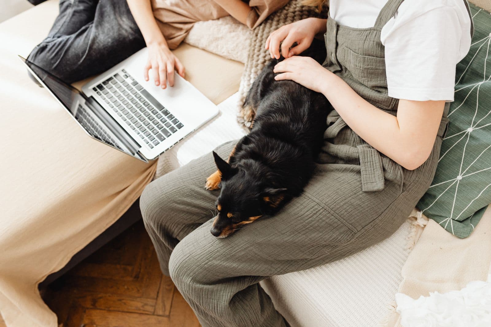 A black dog lying across a person's lap beside an open laptop