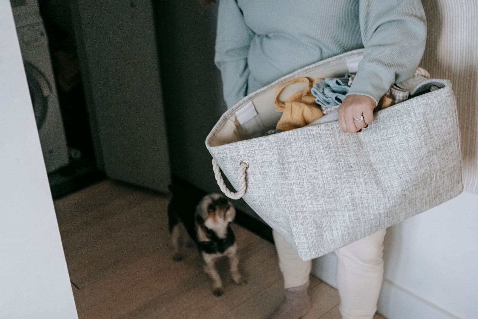 A small dog looking up at a person carrying a grey fabric laundry basket, with a front-loading washing machine in the room behind