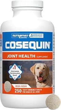 Cosequin Maximum Strength Plus MSM Chewable Tablets product photo