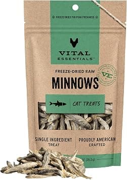 Vital Essentials Freeze Dried Minnows Cat Treats, 1.0 oz Bag product photo