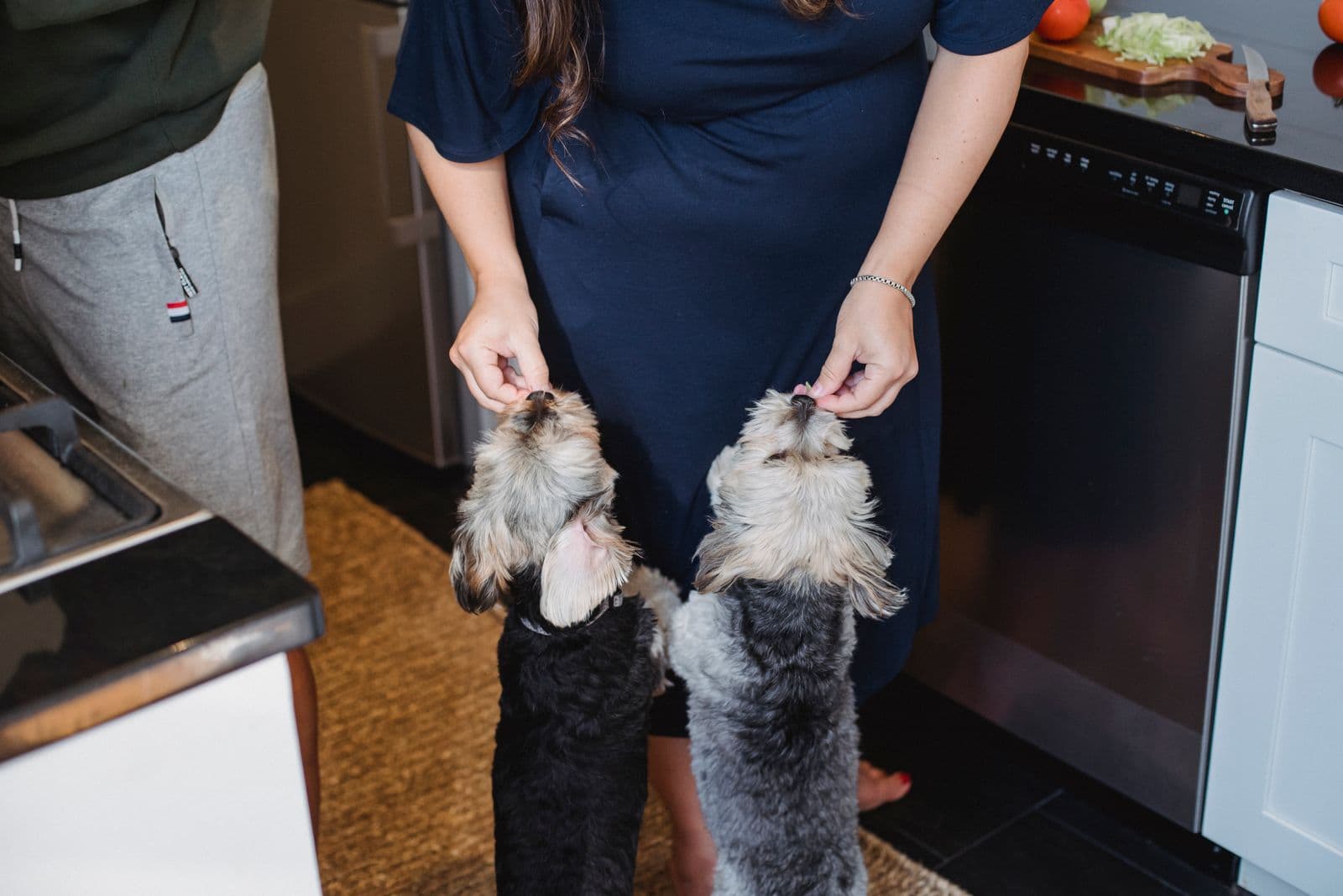 Two small long-haired terriers, one black and tan and one grey and tan, stretching up to take food from a woman's hands in a kitchen