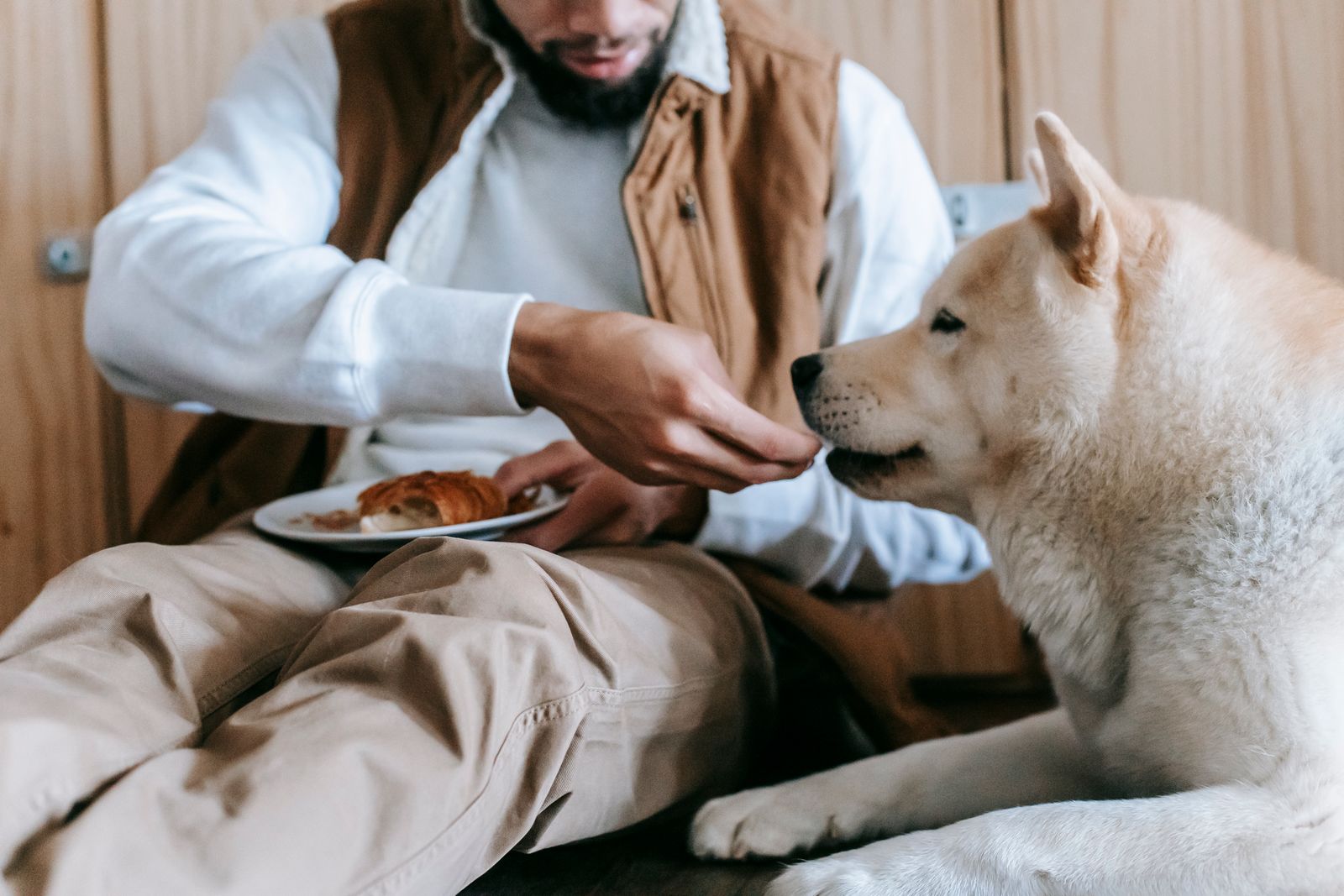 A person feeding treats to a dog on the floor