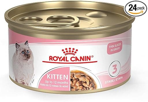 Royal Canin Feline Health Nutrition Kitten Thin Slices in Gravy, 3 oz x 24 product photo