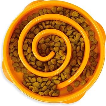 Outward Hound Fun Feeder Slo Bowl, Medium (2 cup) product photo